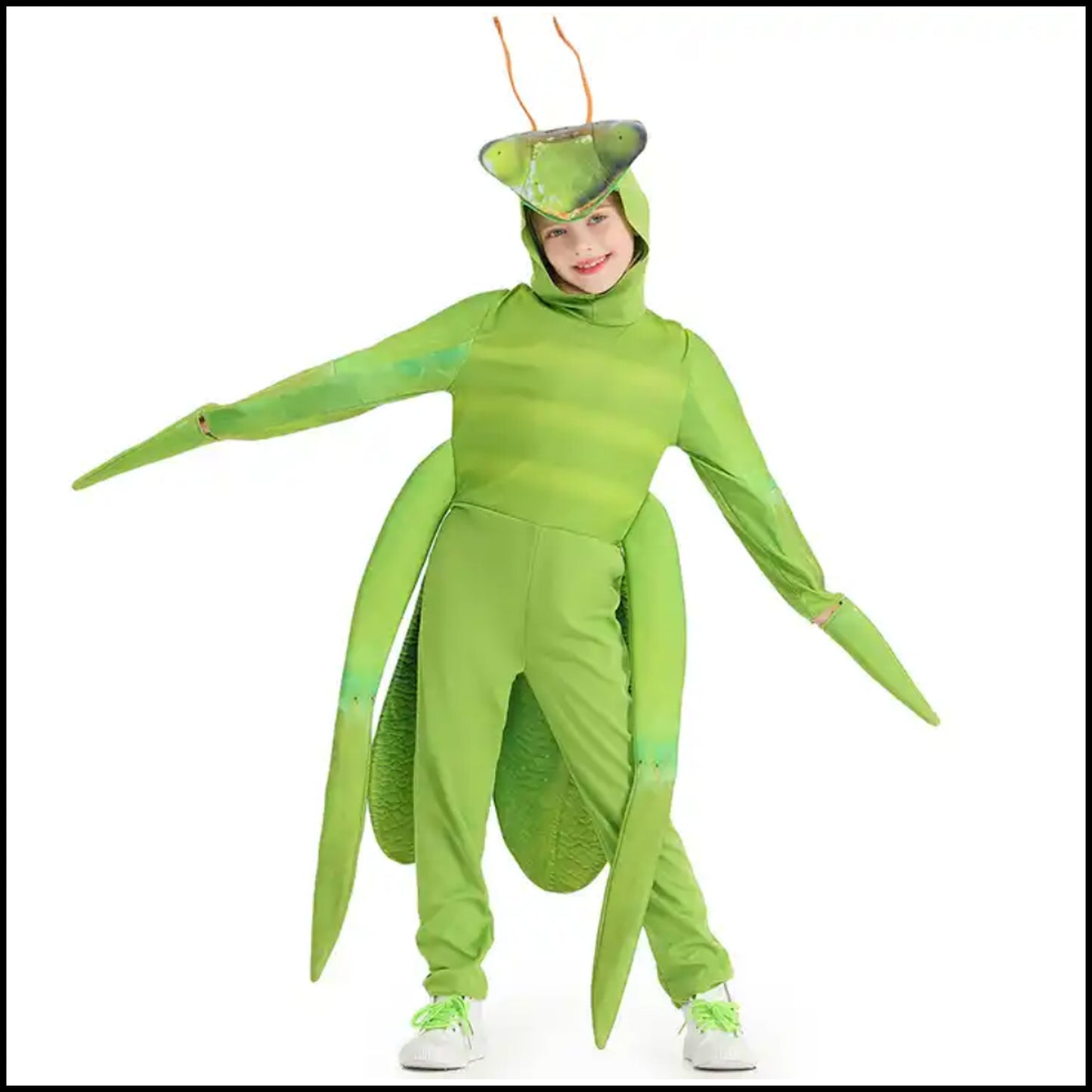 Praying Mantis Costume for Kids
