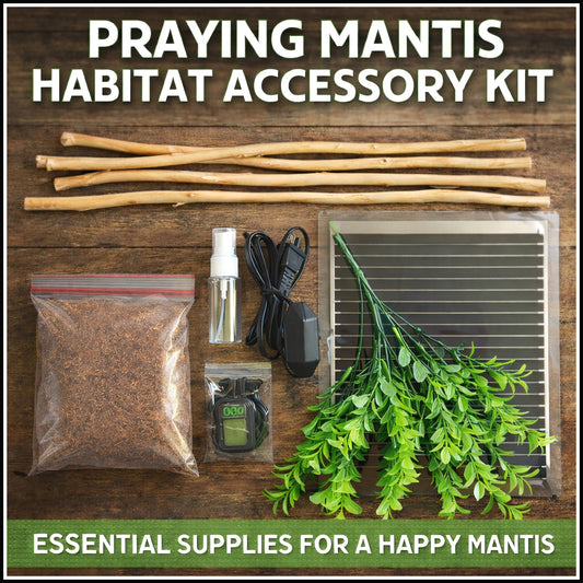 Mantis Habitat Accessory Kit