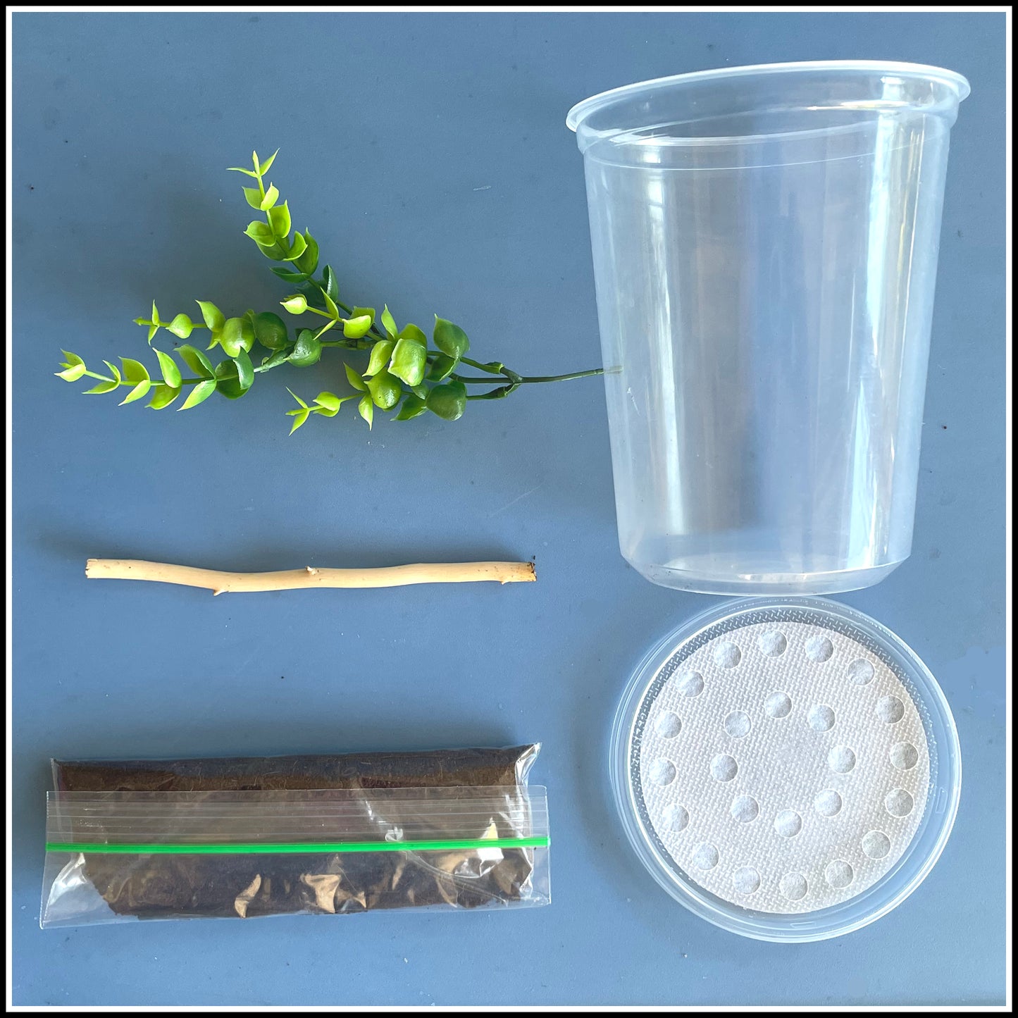 Enclosure - Small Animal Habitat