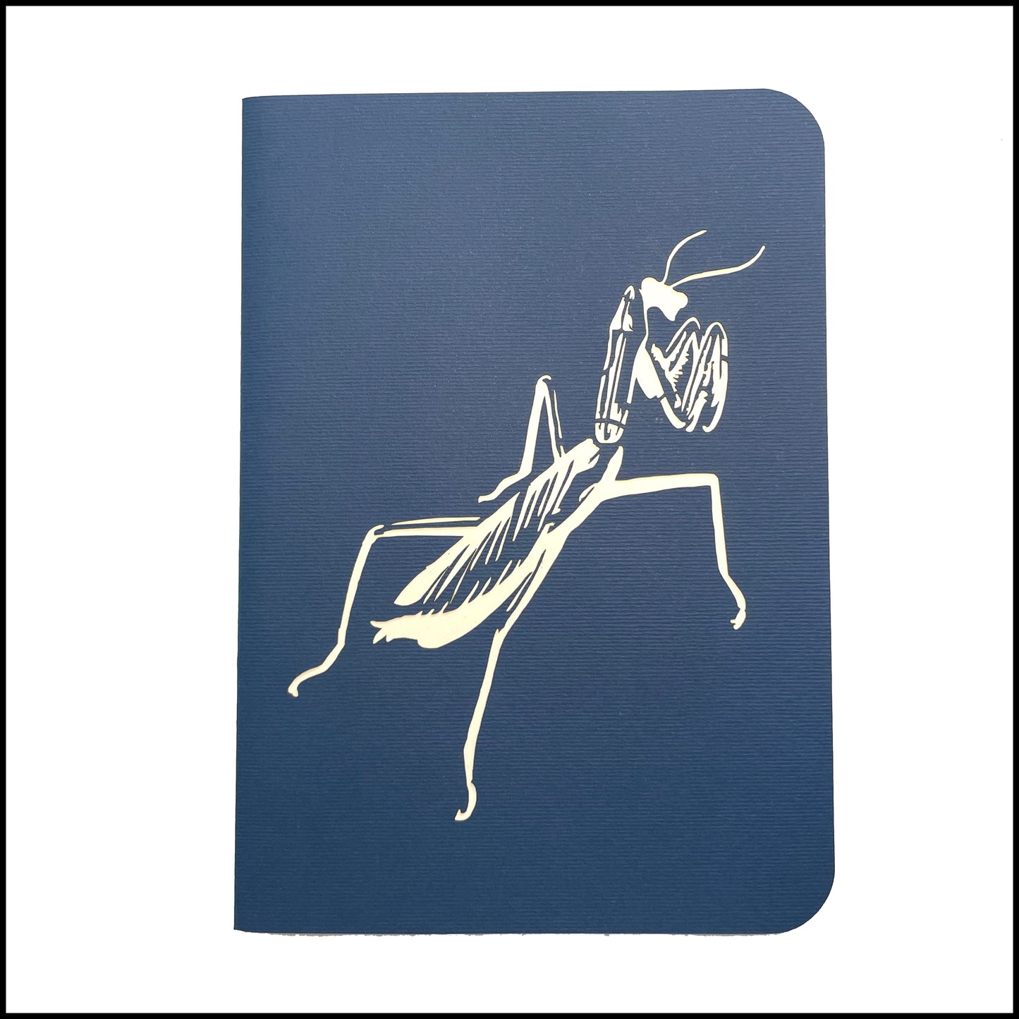 Gift - Pop-Up 3D Mantis Greeting Card