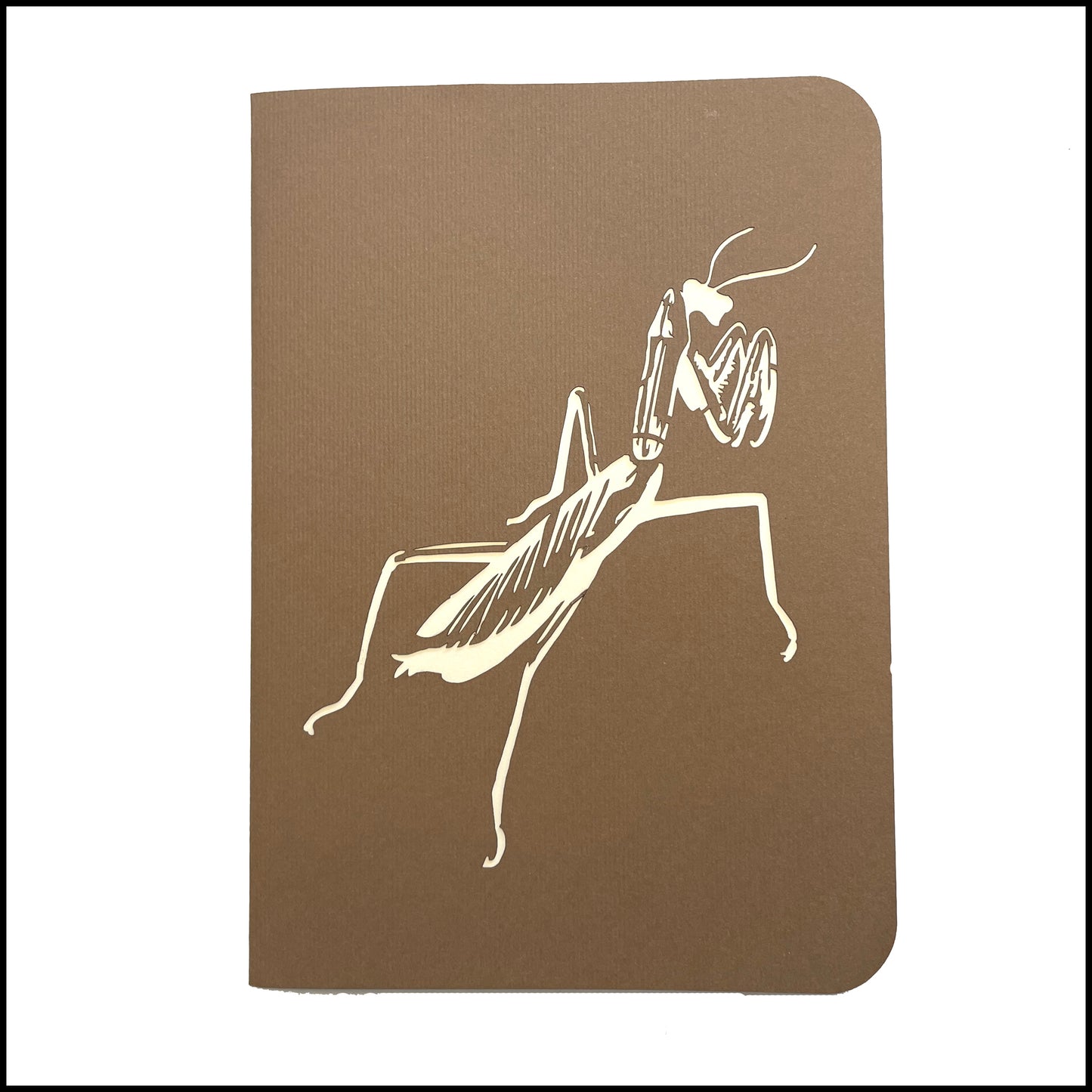 Gift - Pop-Up 3D Mantis Greeting Card