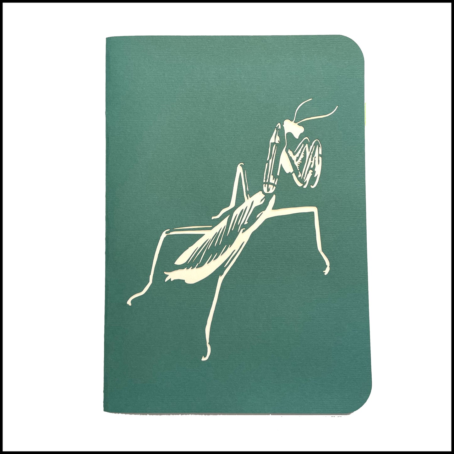 Gift - Pop-Up 3D Mantis Greeting Card