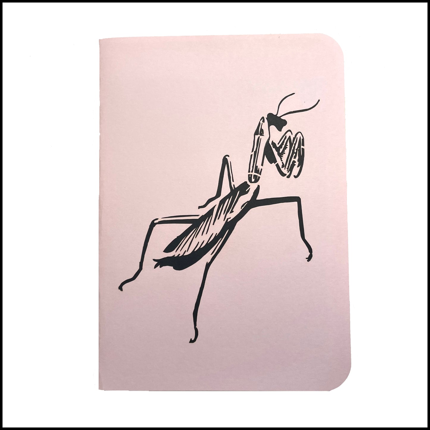 Gift - Pop-Up 3D Mantis Greeting Card