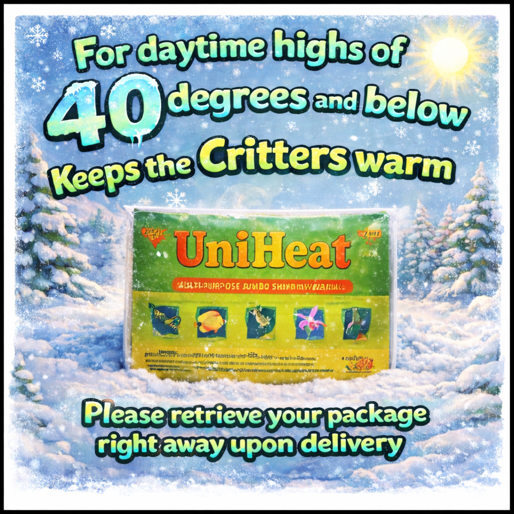 Warm Pack for Winter Shipping