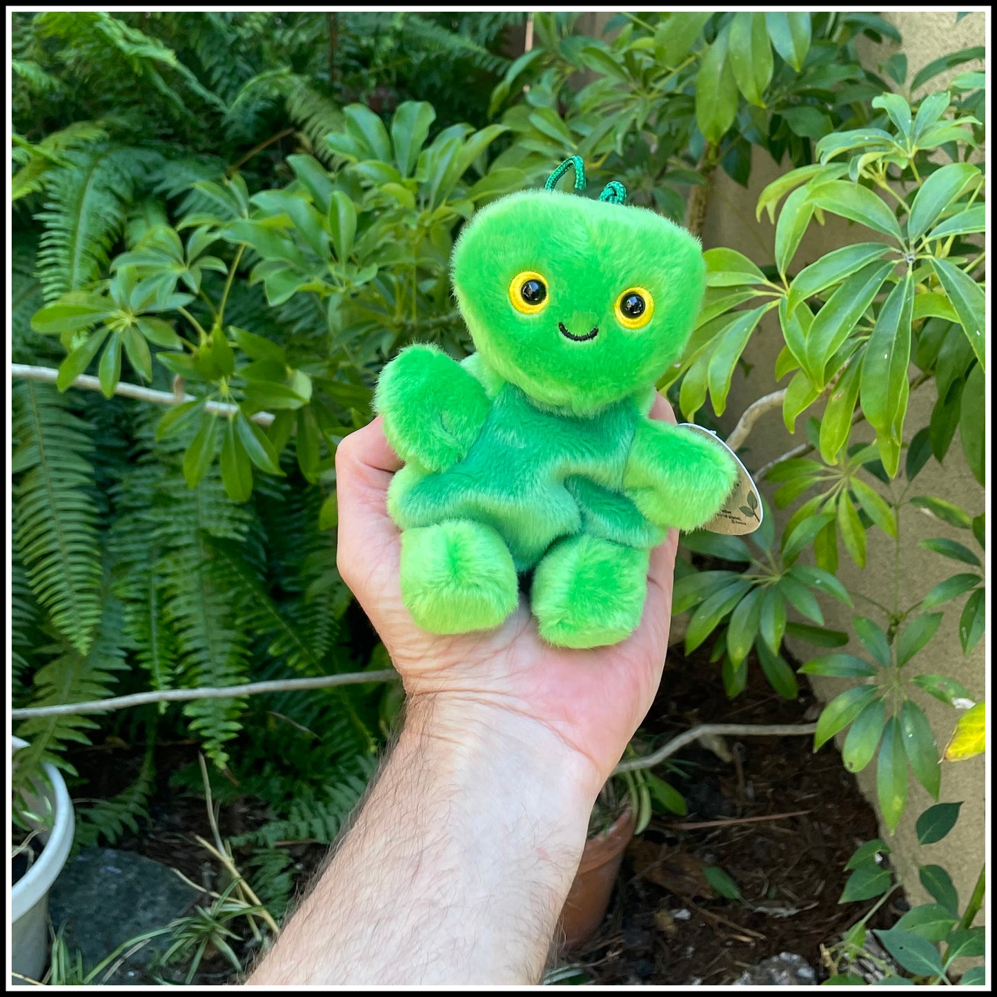 Palm Pal™ Praying Mantis