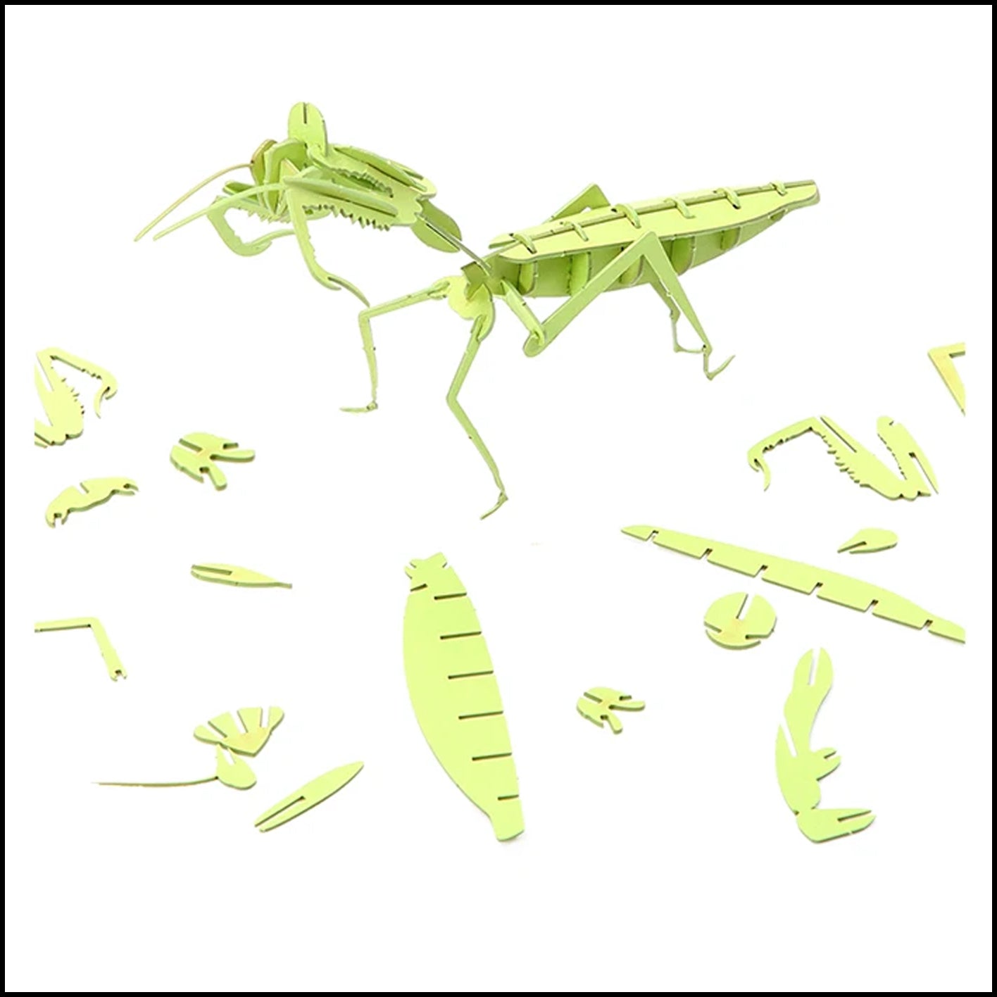 Puzzle - 3D Paper Mantis Jigsaw Model