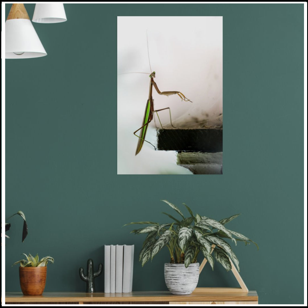 Wall Poster - Green Highlight Mantis