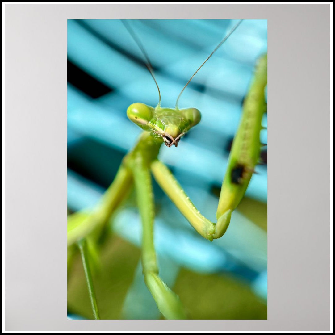 Wall Poster - Turquoise Dimension