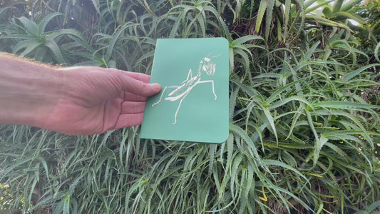 Gift - Pop-Up 3D Mantis Greeting Card