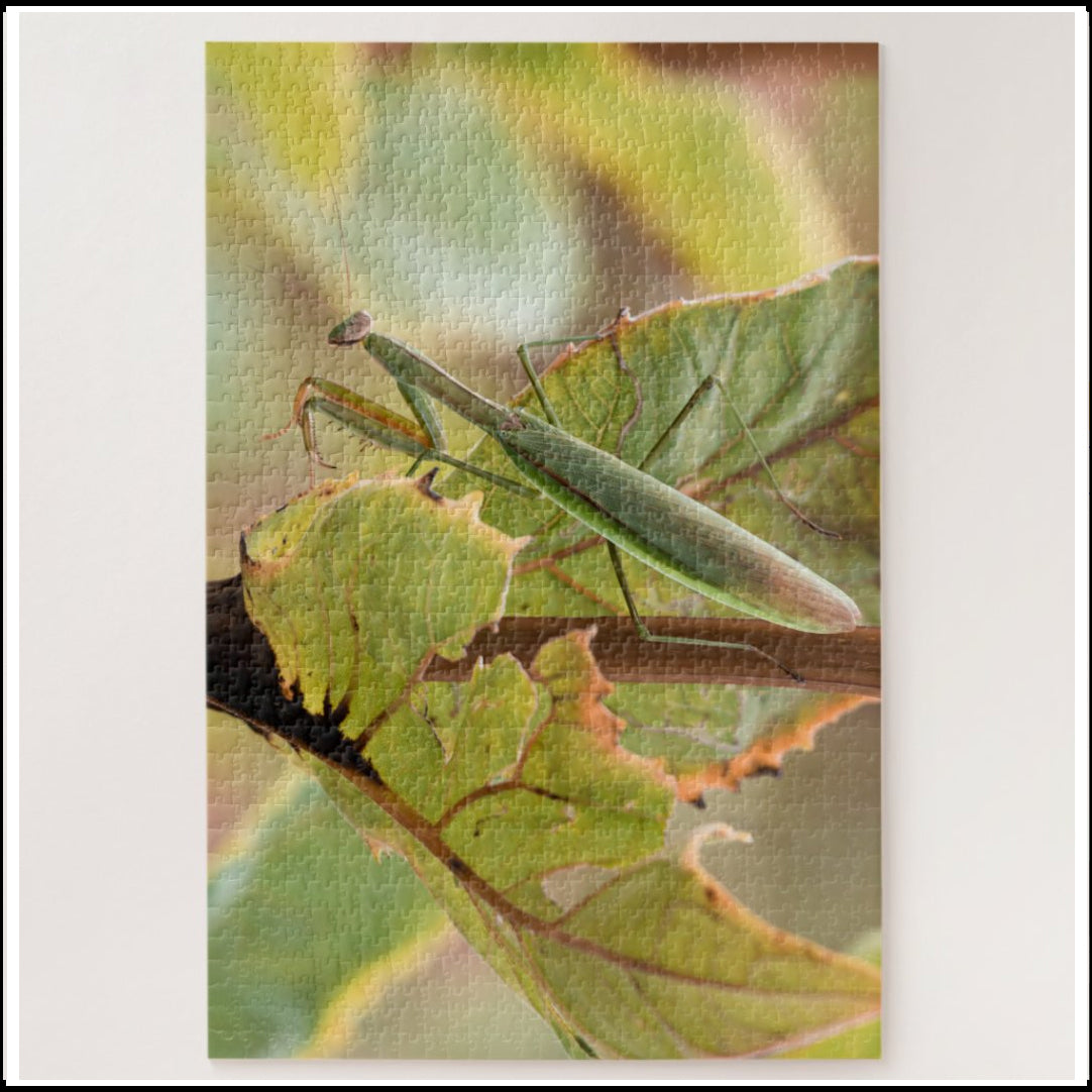 Puzzle - Jigsaw - Vineyard Mantis