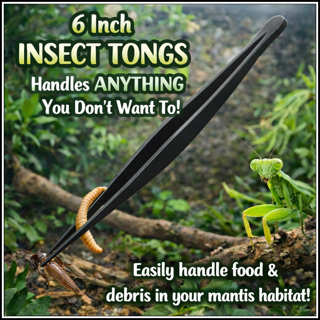 Accessory - Insect Tongs