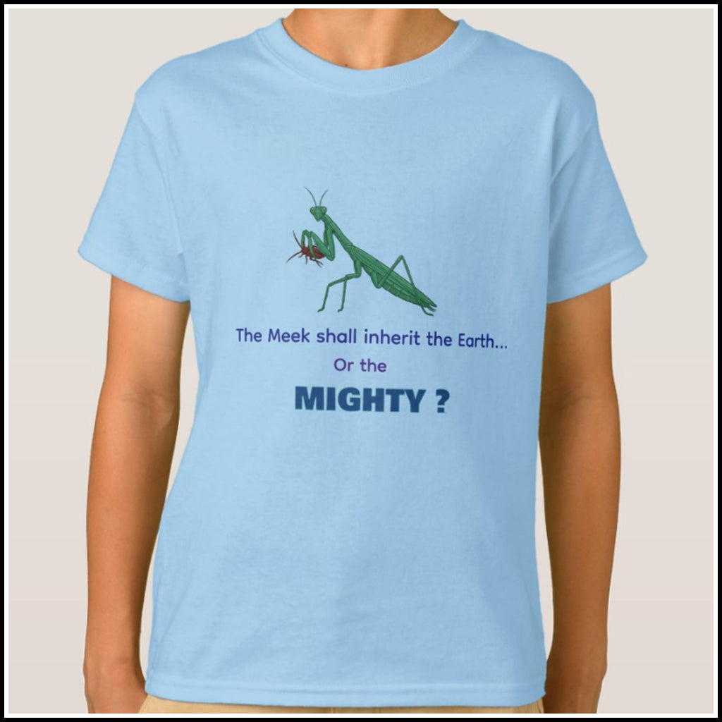 T-Shirt Kids- Meek or Mighty?