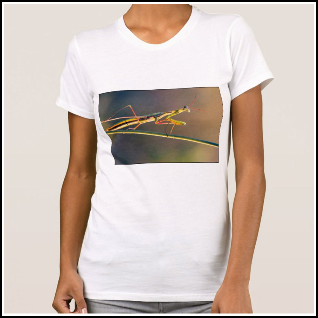 T-Shirt Women's - Brown Microcosm