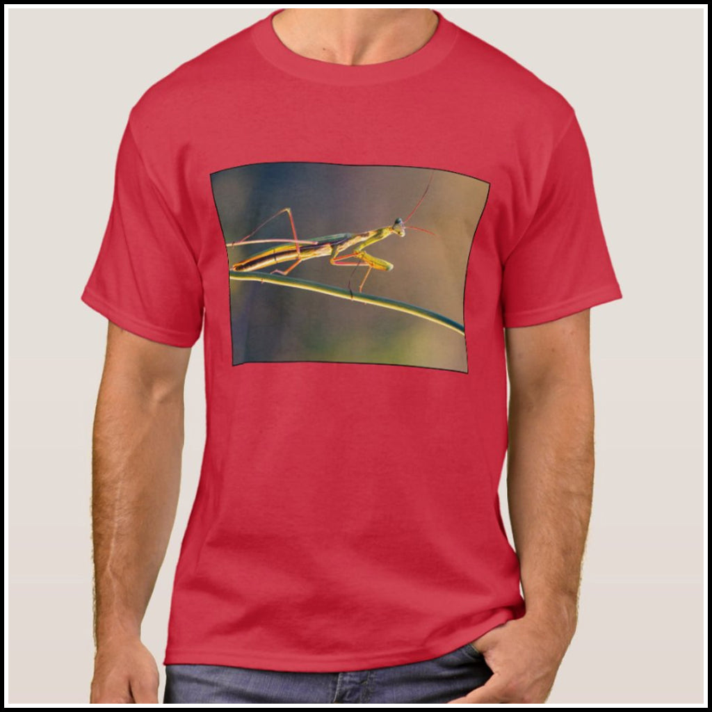 T-Shirt Men's -Brown Microcosm
