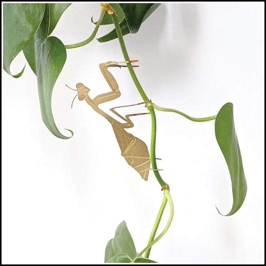 Décor - Mantis Houseplant Decoration