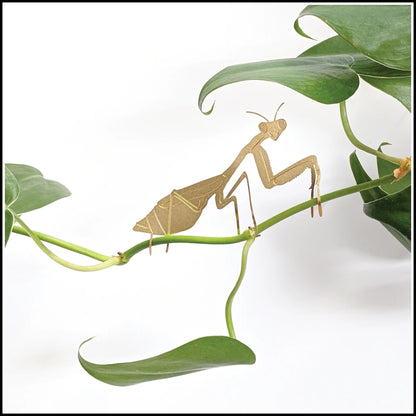 Décor - Mantis Houseplant Decoration
