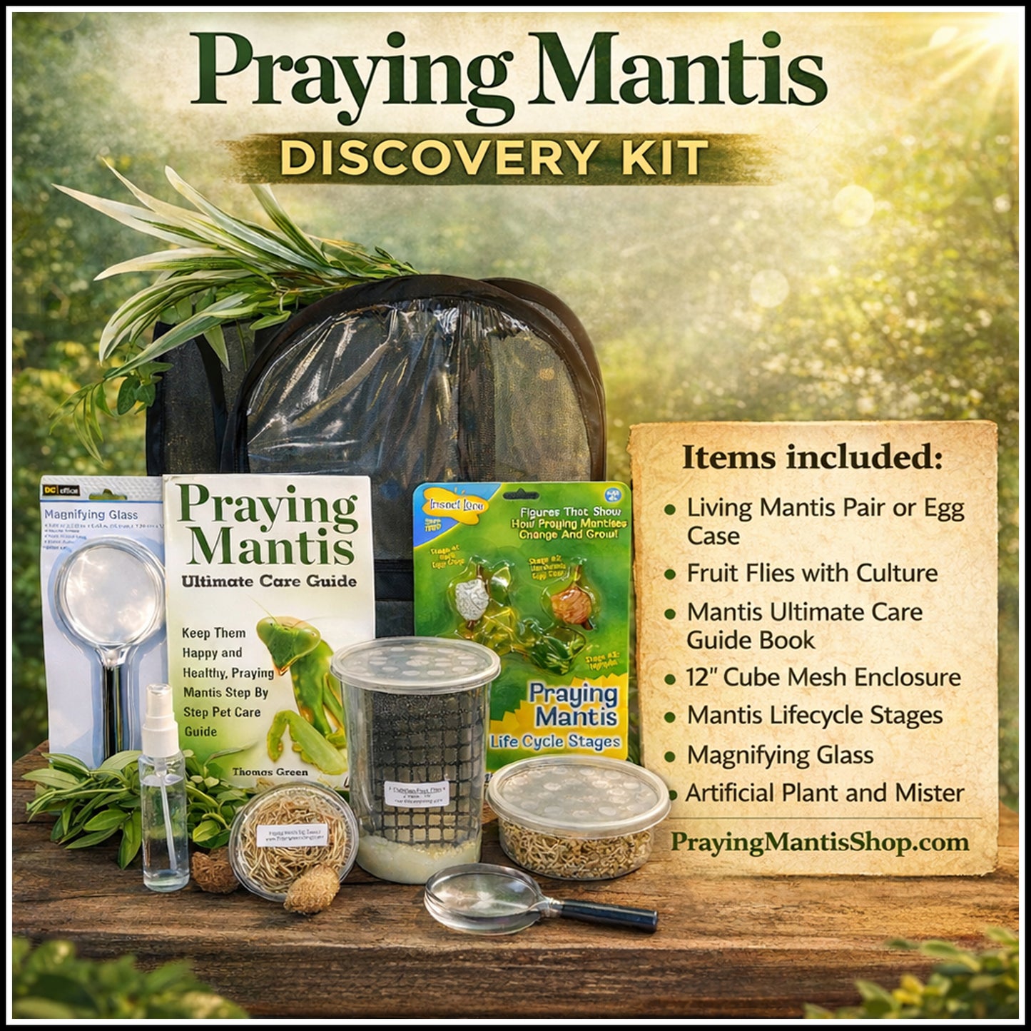 Praying Mantis Discovery Kit