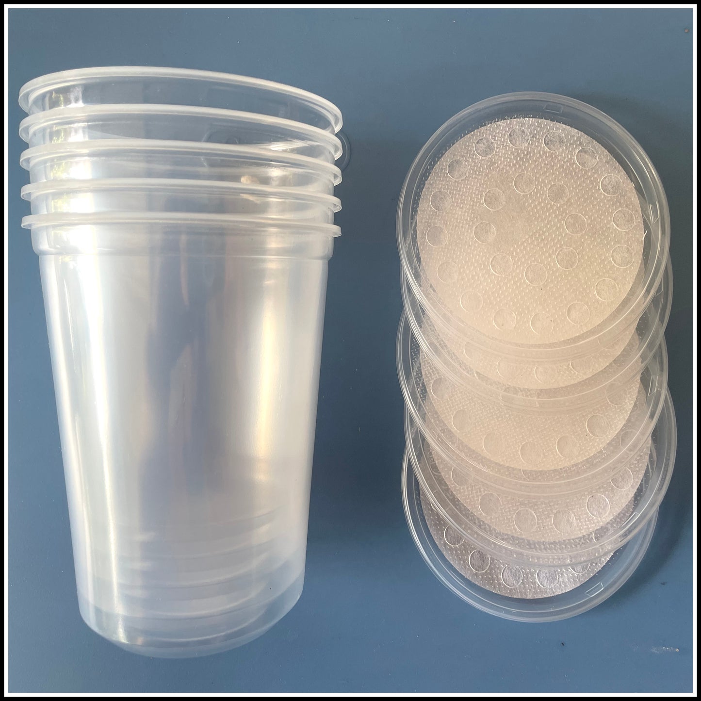 Enclosure - 32oz Containers and Lids - 5 Pack