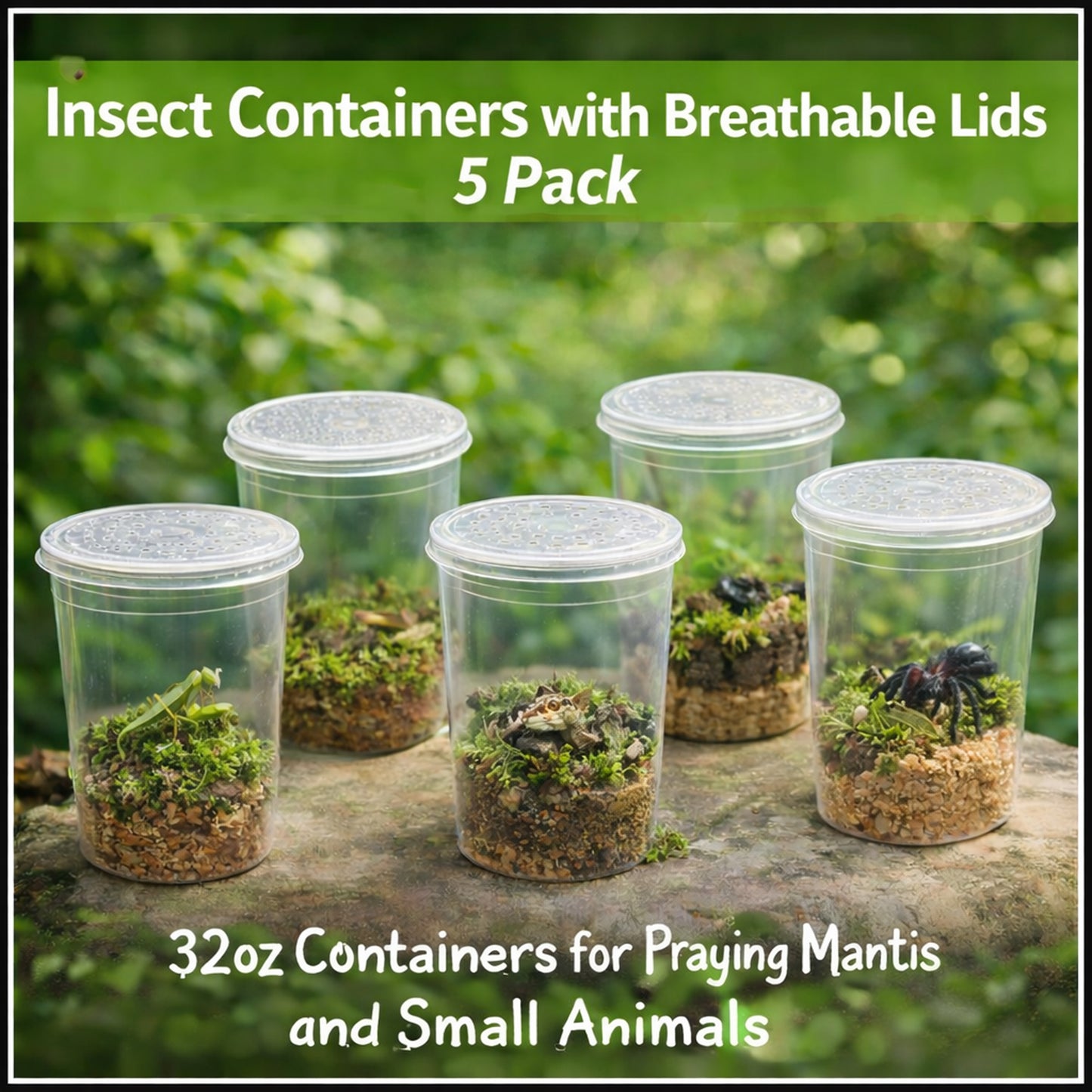 Enclosure - 32oz Containers and Lids - 5 Pack