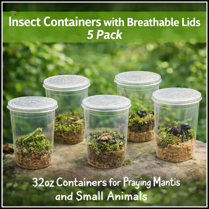 Enclosure - 32oz Containers and Lids - 5 Pack