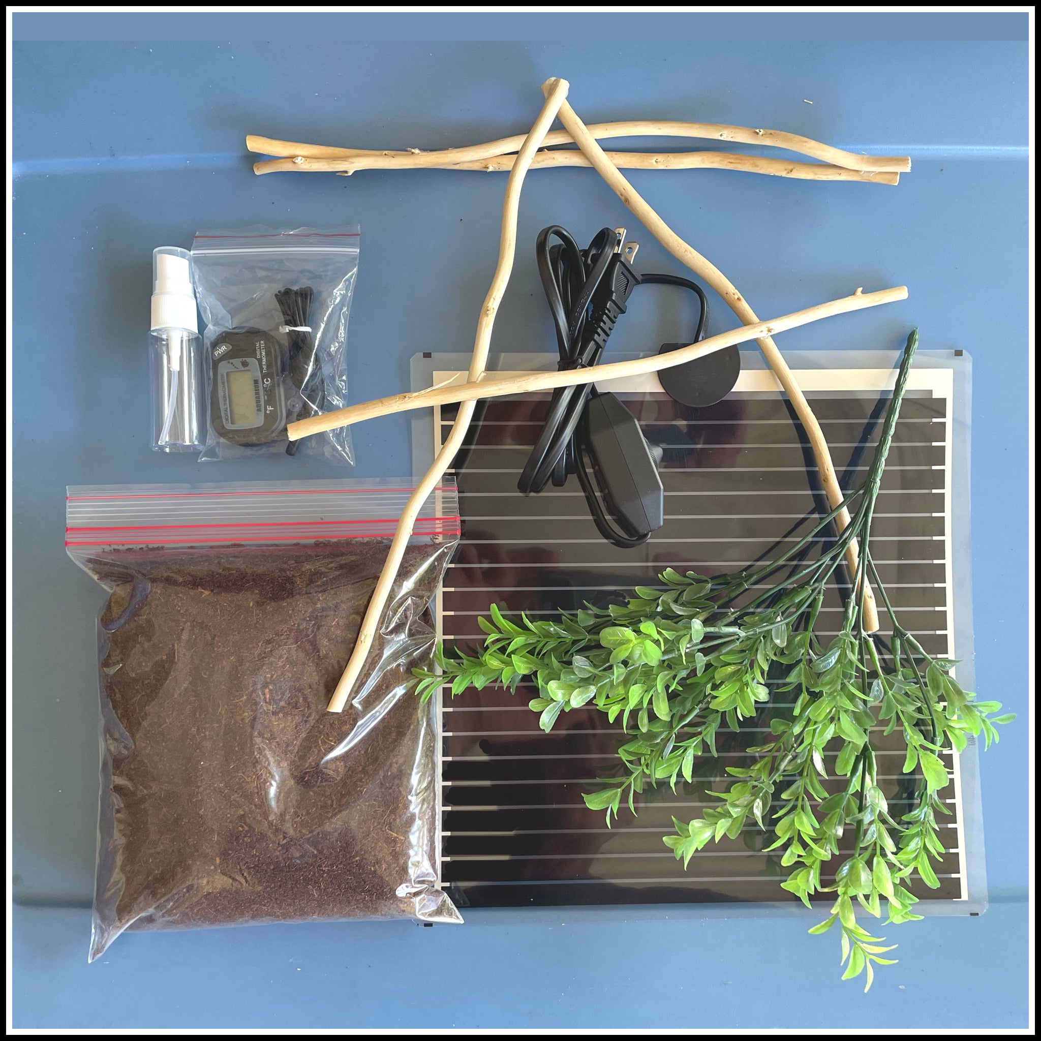 Praying Mantis Habitat Accessory Kit. Create an excellent setup ...