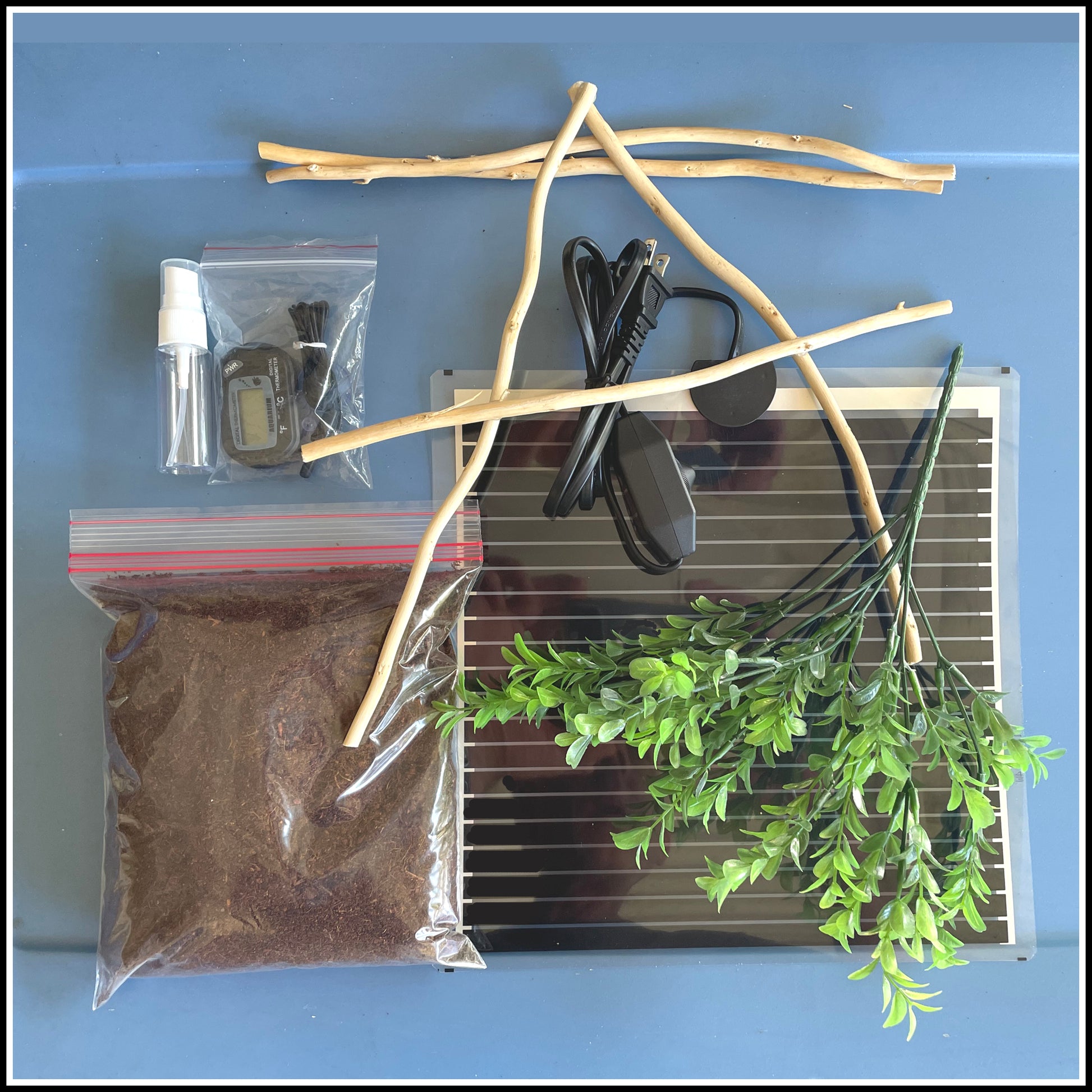 best plants for praying mantis enclosure Praying Mantis Habitat Accessory Kit. Create an excellent setup!