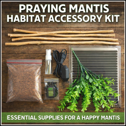 Mantis Habitat Accessory Kit
