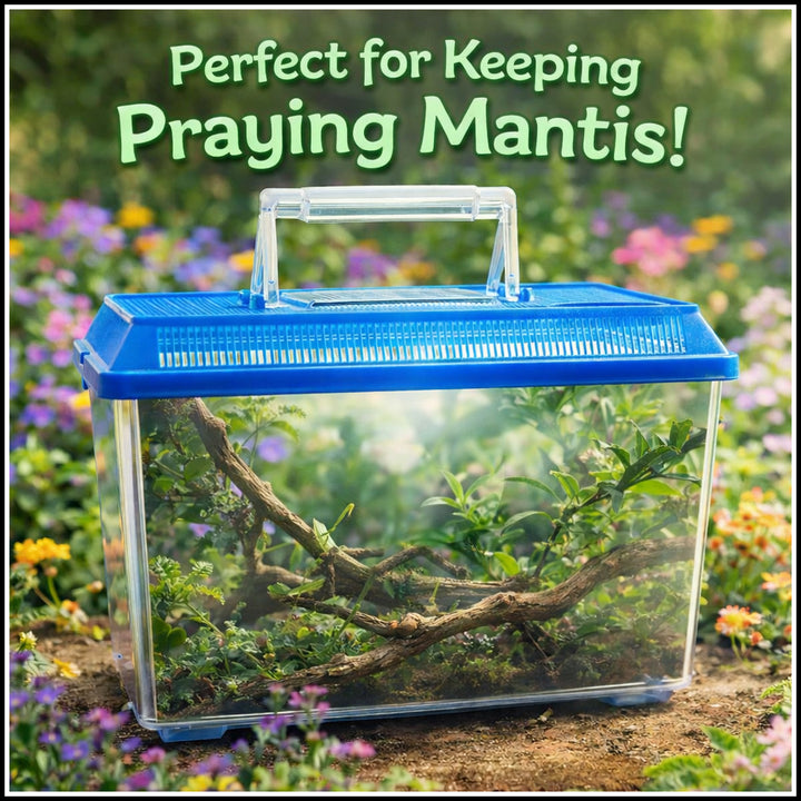 Praying Mantis Enclosures – PrayingMantisShop.com