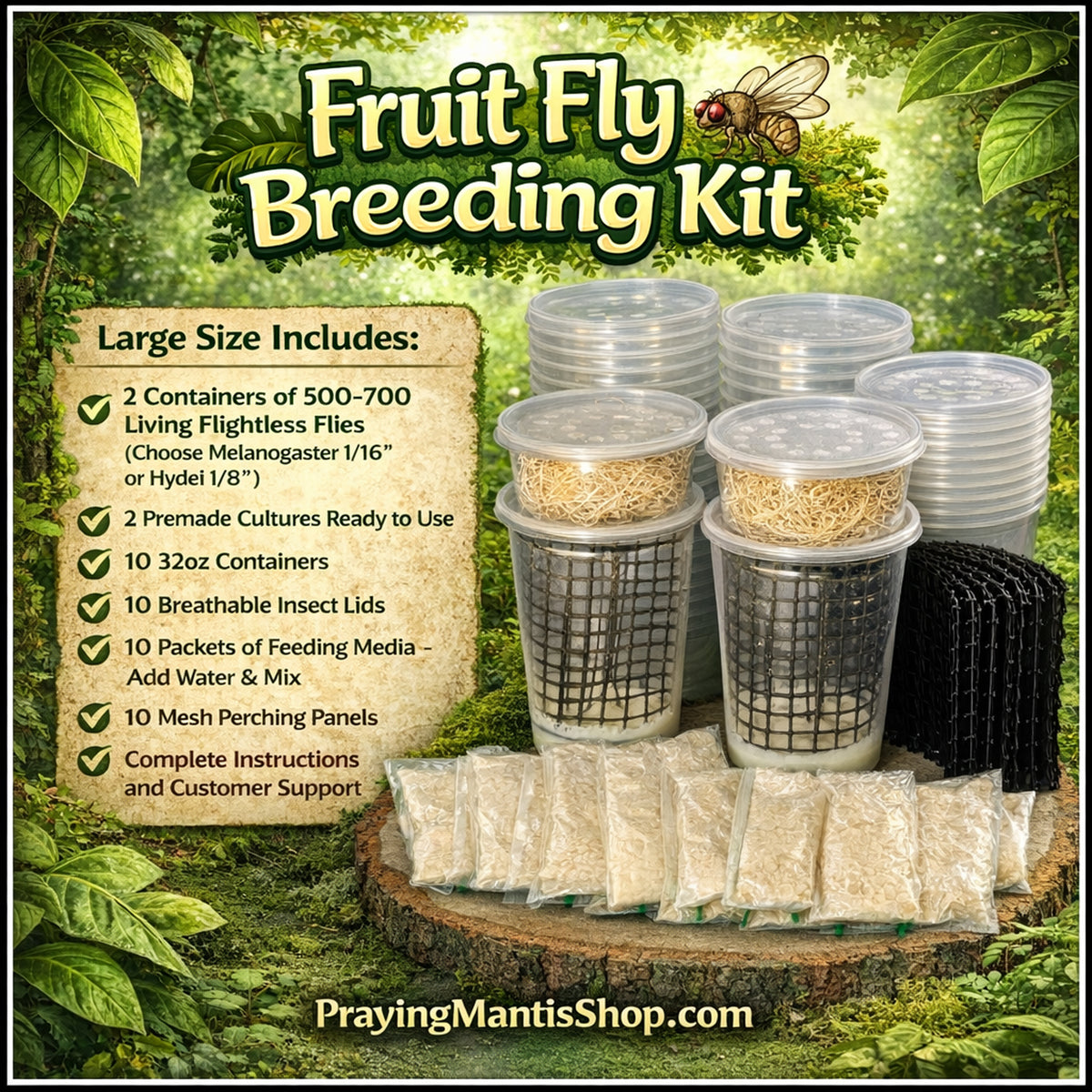 Breeding Kit Flightless Fruit Fly Breeding Kit for Feeding Praying Mantis ...