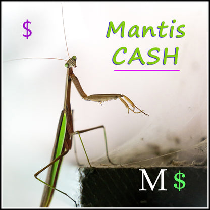 Gift Cards from The Praying Mantis Shop