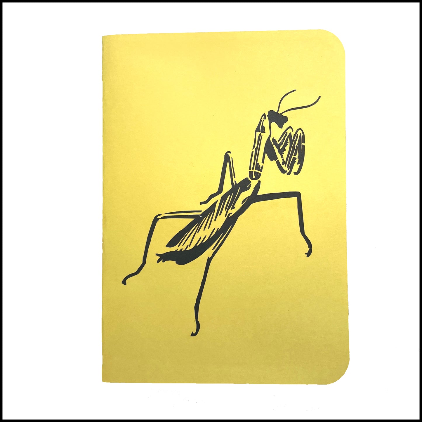 Gift - Pop-Up 3D Mantis Greeting Card