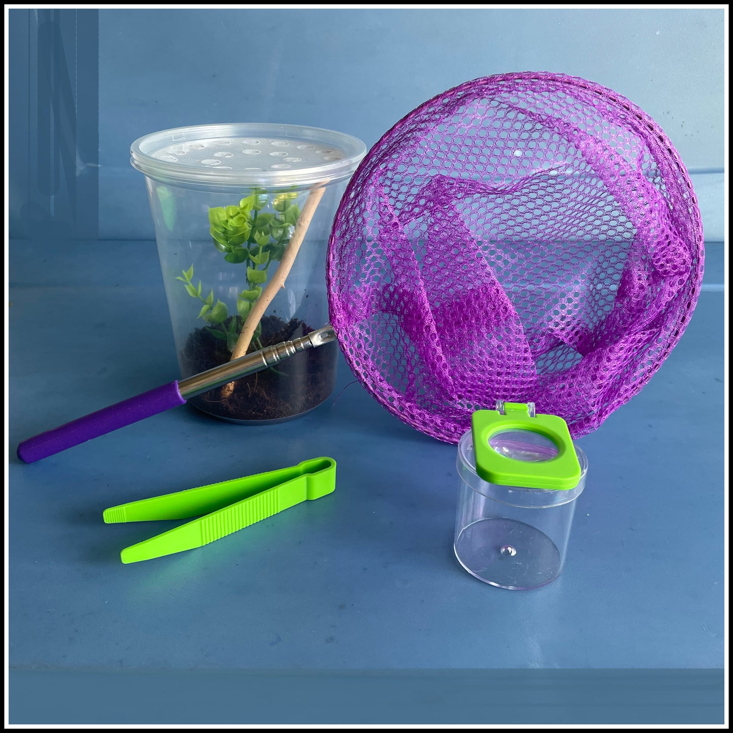 Ultimate Bug Explorer Kit