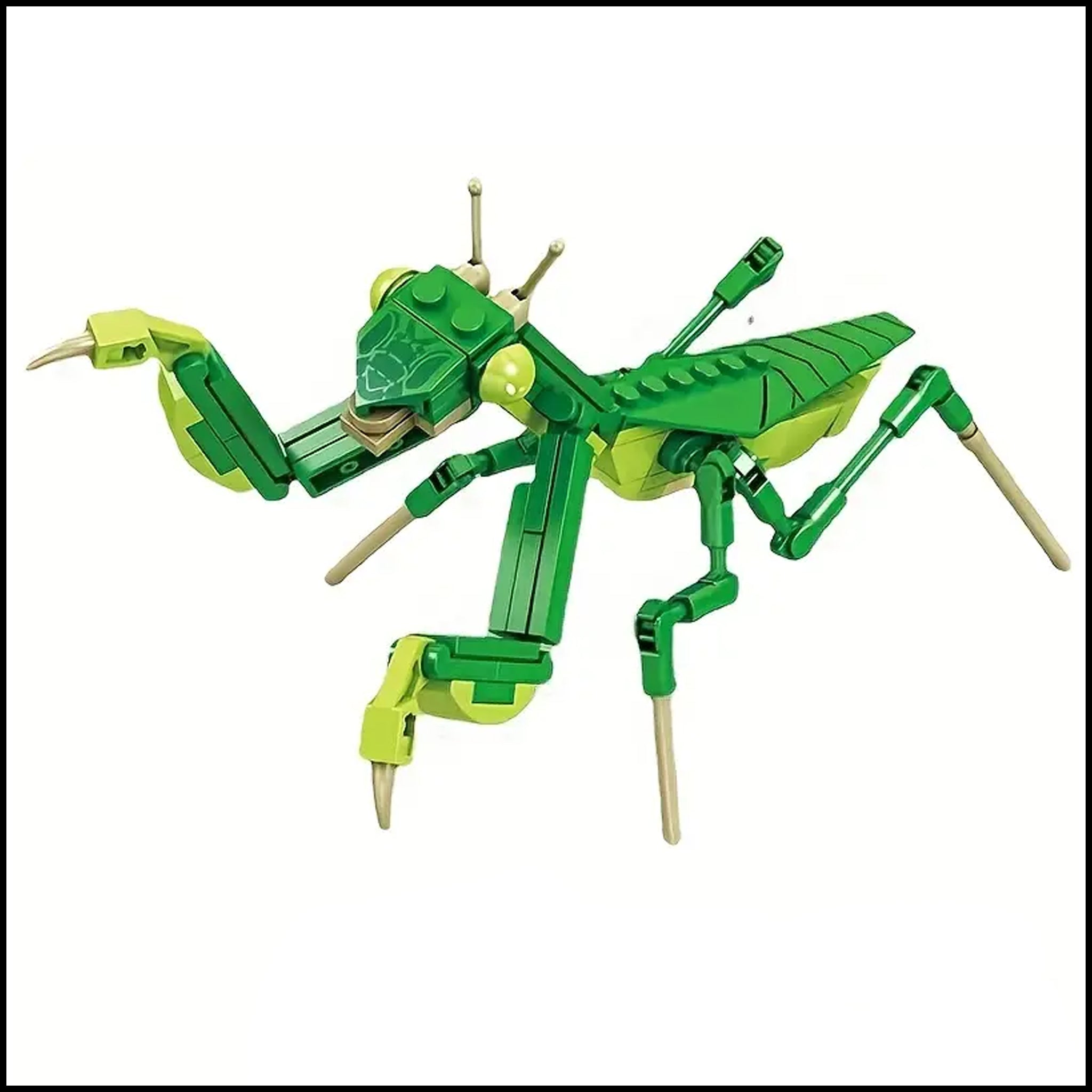Puzzle- 3D Plastic Mantis Building Blocks – PrayingMantisShop.com