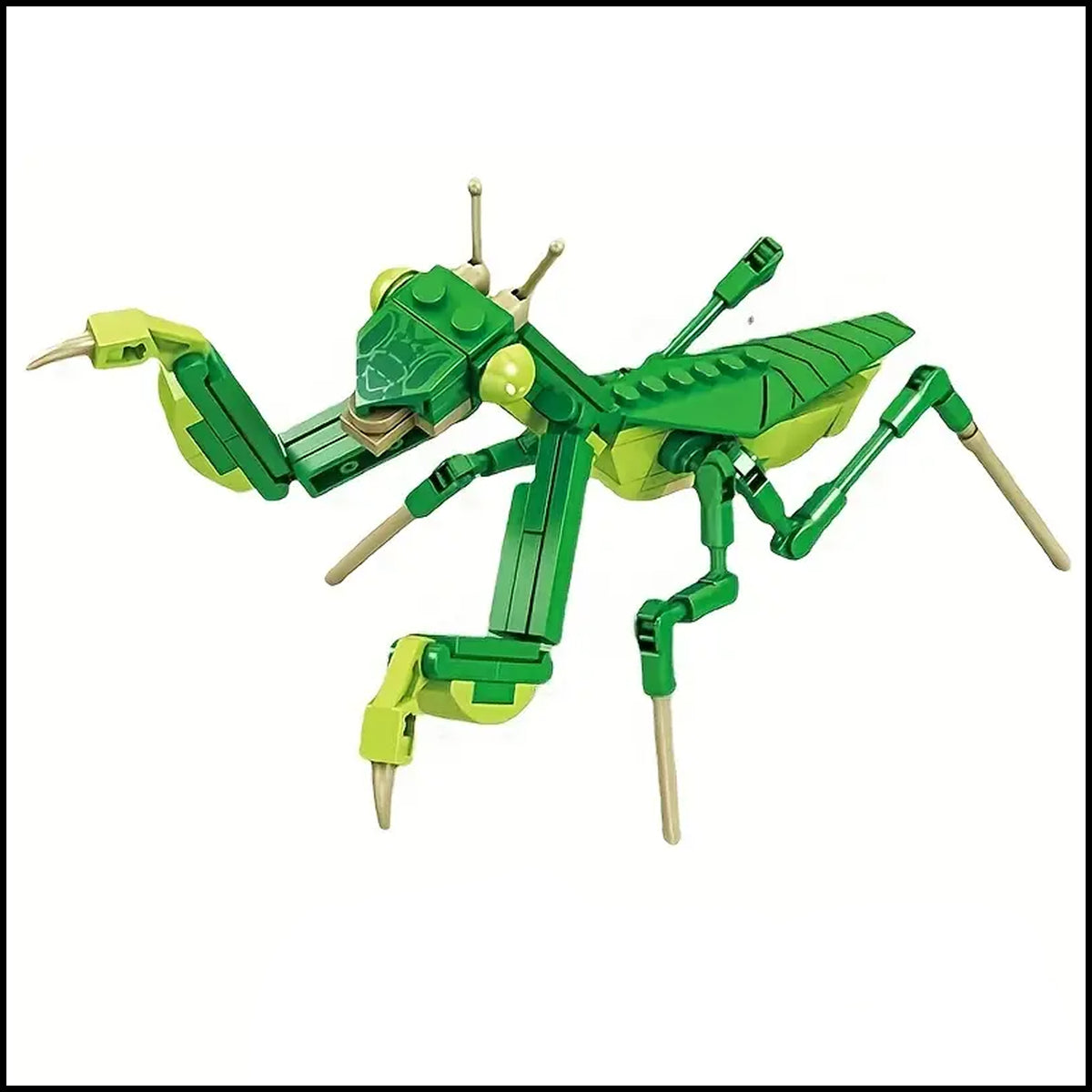 Puzzle- 3D Plastic Mantis Building Blocks – PrayingMantisShop.com