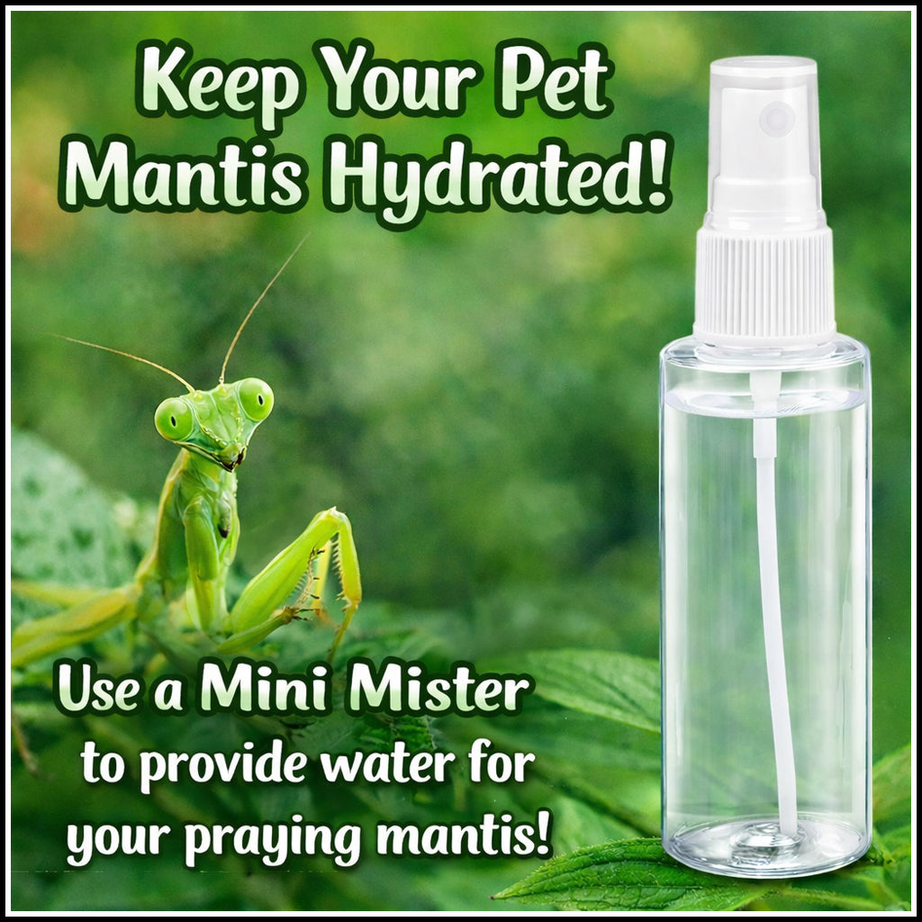 Accessory - Mini Mister