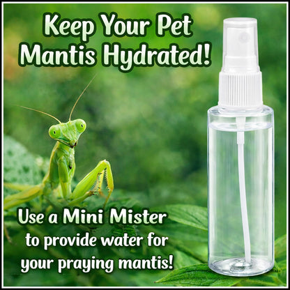 Accessory - Mini Mister