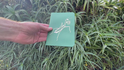 Gift - Pop-Up 3D Mantis Greeting Card