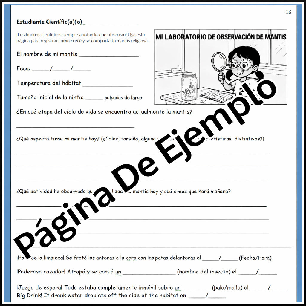 Educational -  Mantis Learning Workshop and Observation Lab eBook in SPANISH