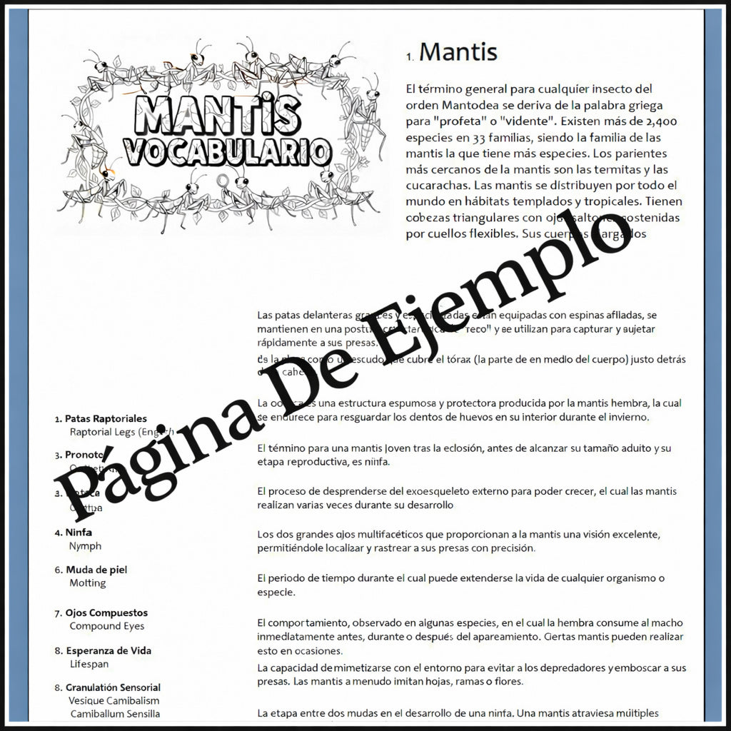 Educational -  Mantis Learning Workshop and Observation Lab eBook in SPANISH