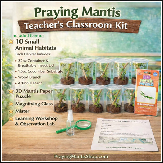 Educational -  Mantis Teacher's Classroom Learning Kit