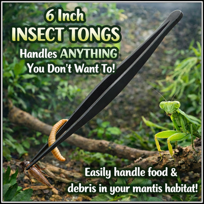 Accessory - Insect Tongs