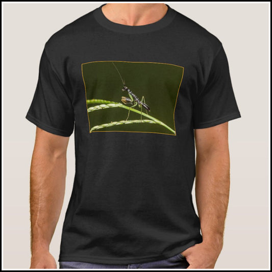 T-Shirt Men's - Exotic Mantis