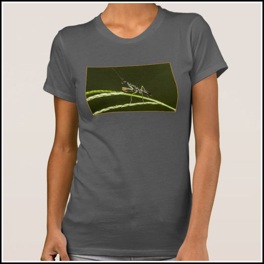 T-Shirt Women's - Exotic Mantis