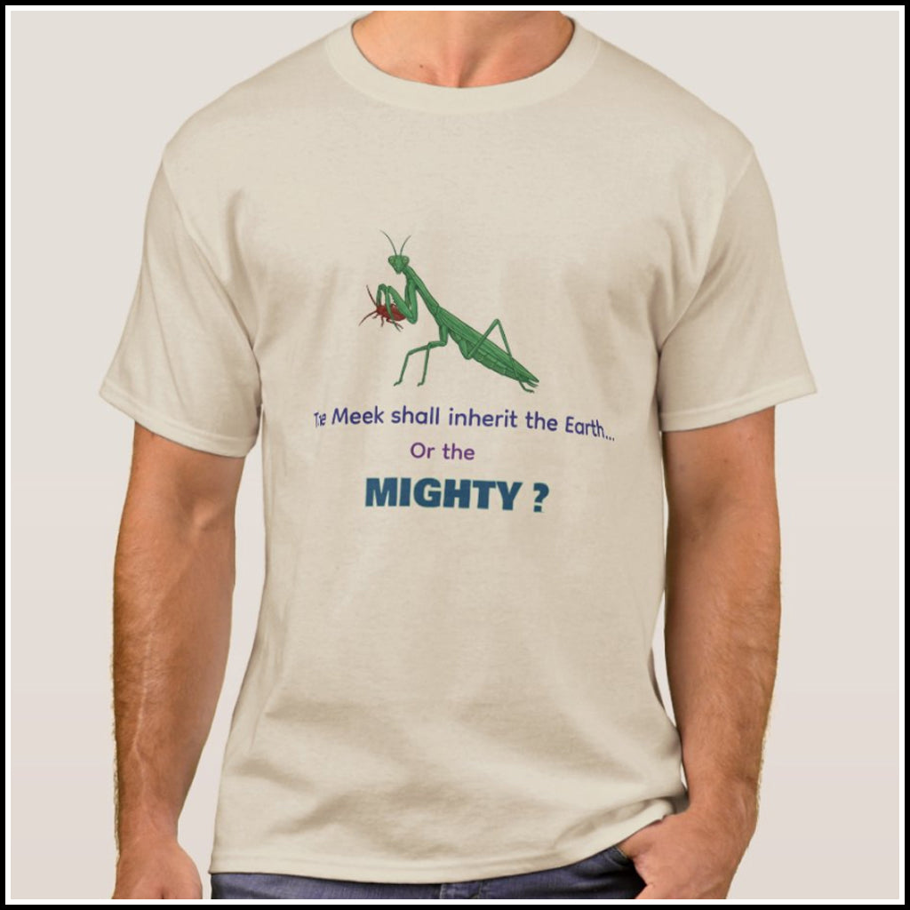 T-Shirt Men's - Meek or Mighty?