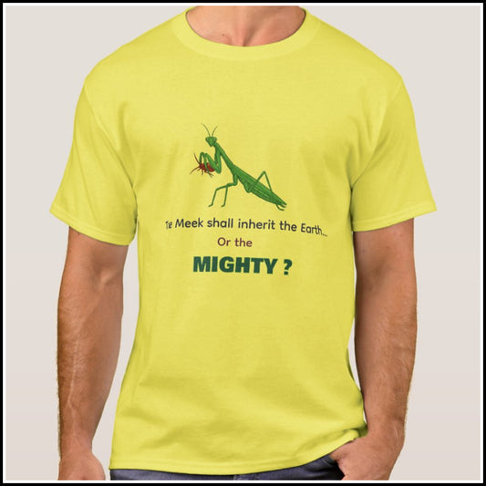 T-Shirt Men's - Meek or Mighty?