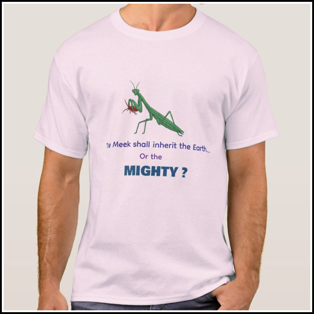 T-Shirt Men's - Meek or Mighty?