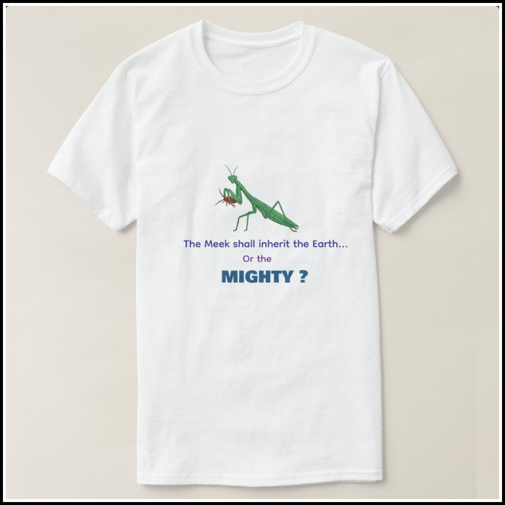 T-Shirt Men's - Meek or Mighty?