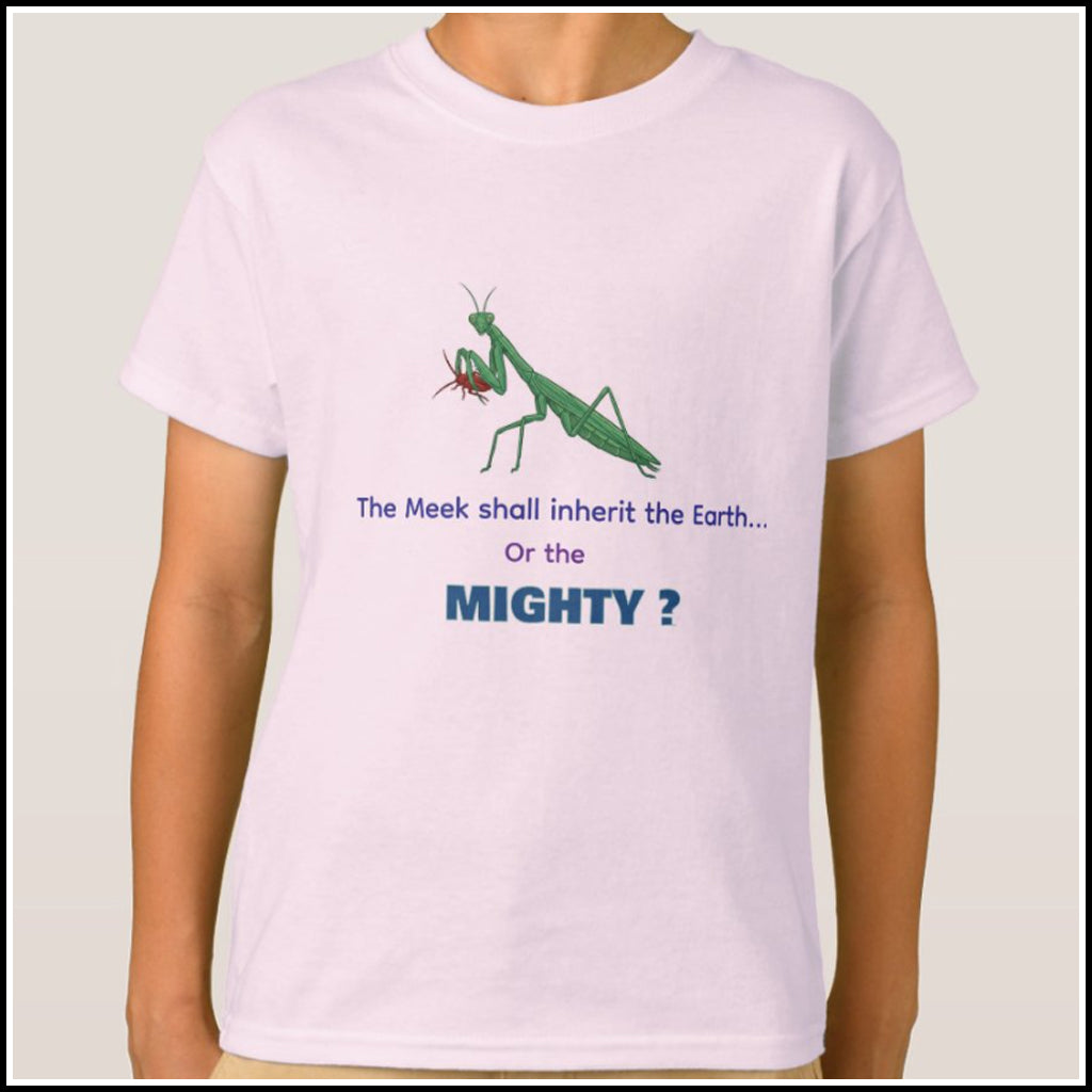 T-Shirt Kids- Meek or Mighty?