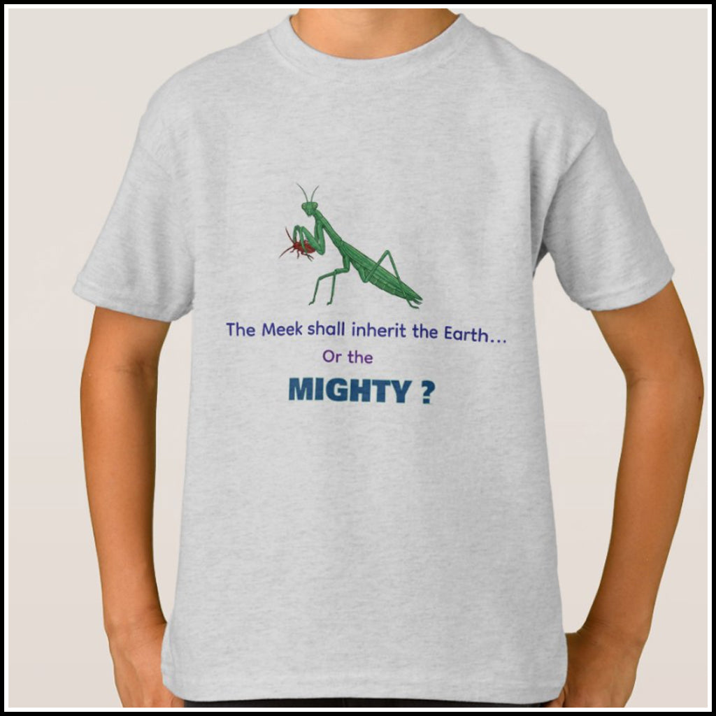 T-Shirt Kids- Meek or Mighty?