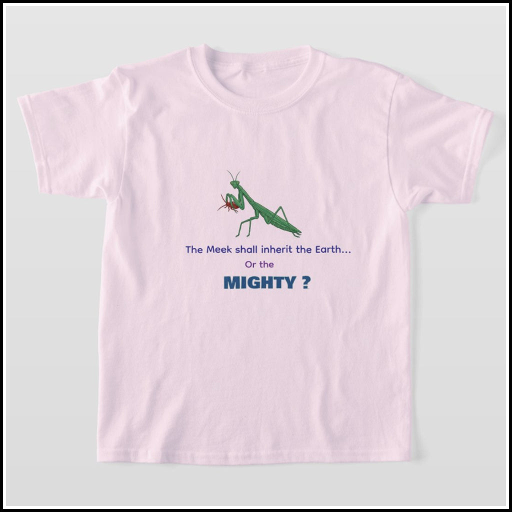 T-Shirt Kids- Meek or Mighty?